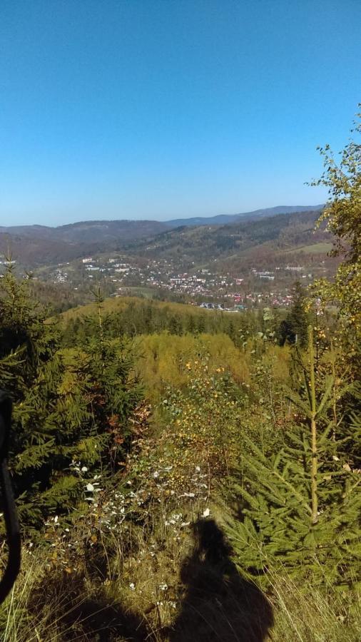 Hotel Arka Spa Visla Exteriér fotografie